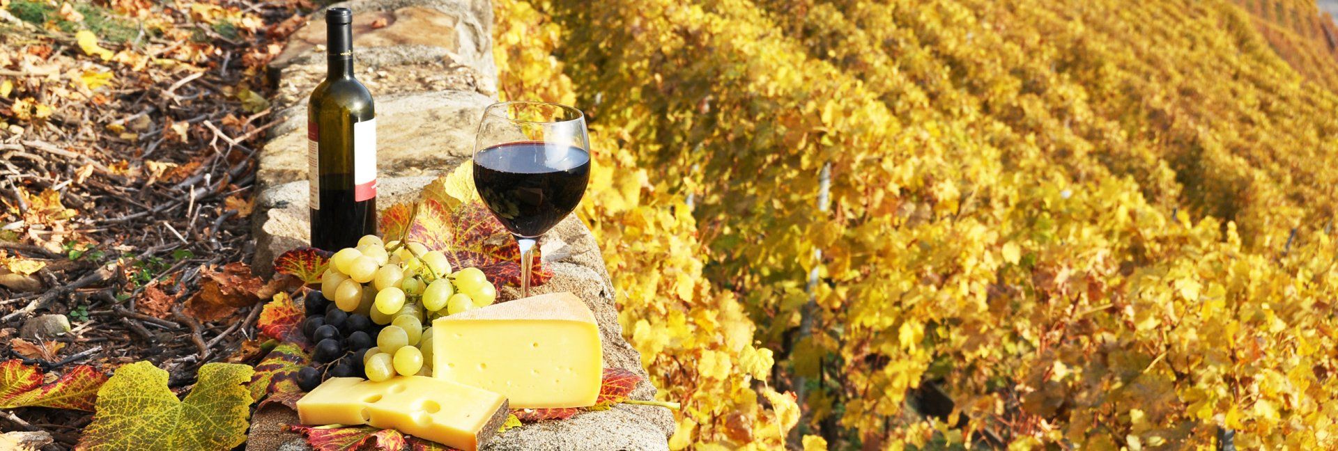 Food & Wine Tours