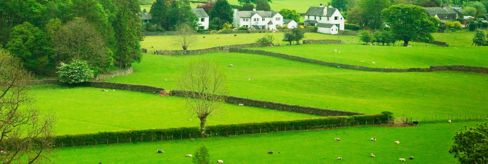 Bespoke group tours in the UK and Europe