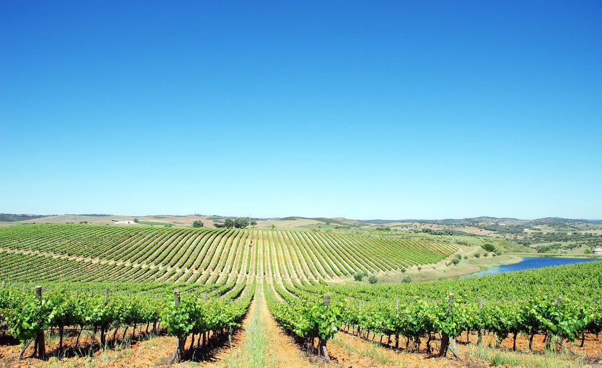 Food & Drinks Tours