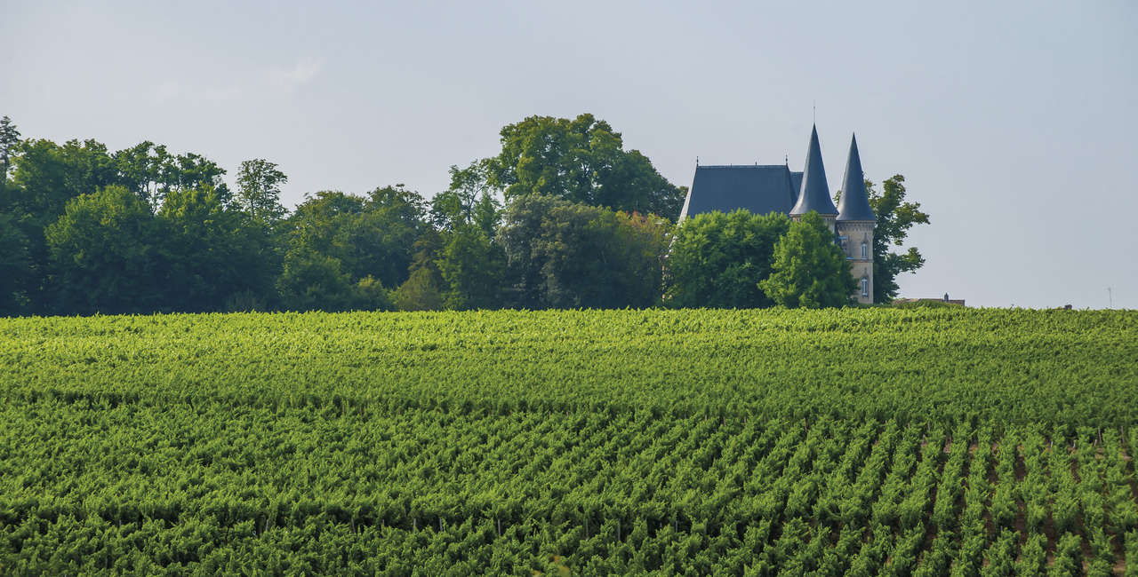 Wine tours