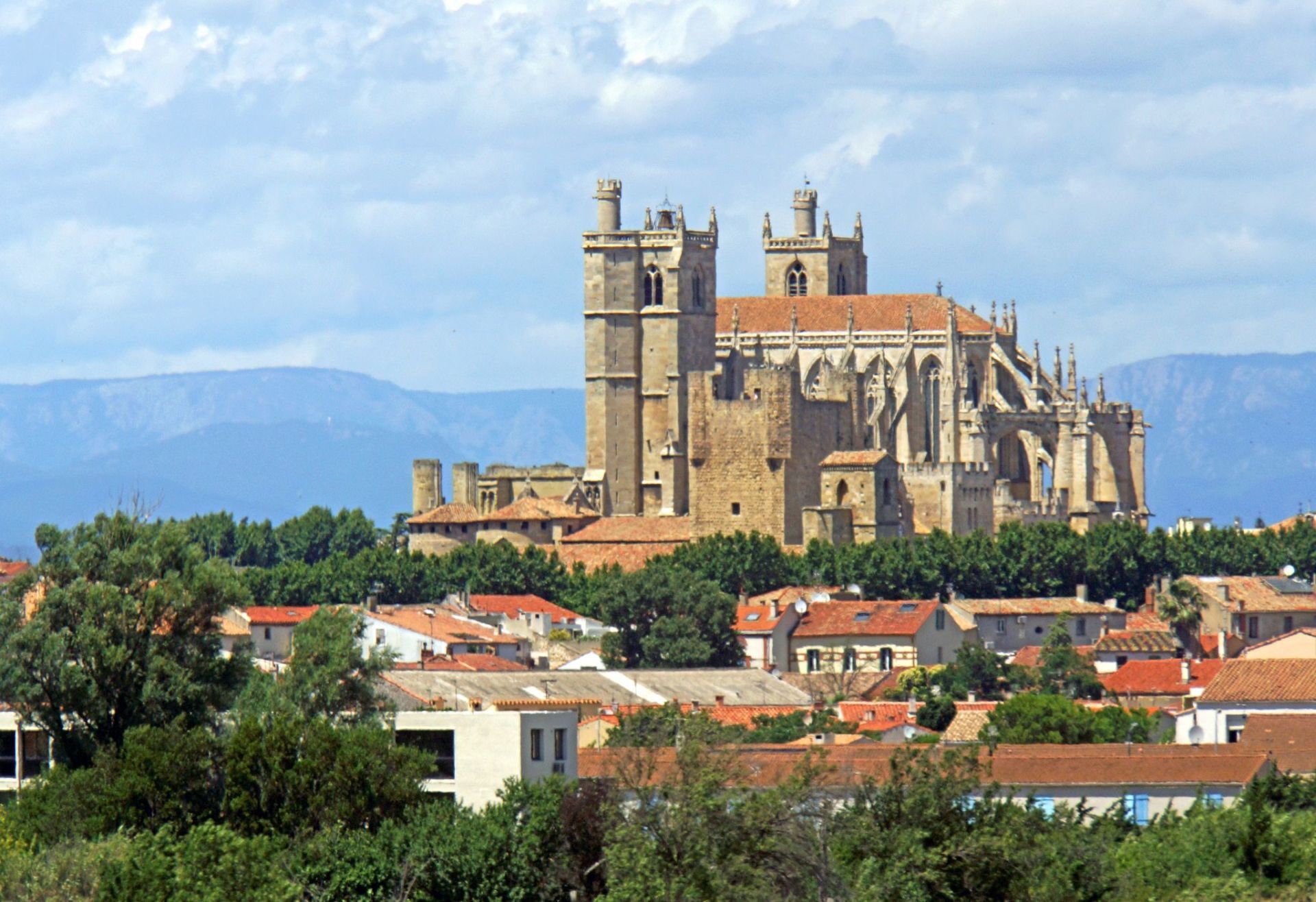 Food & Wine Tours