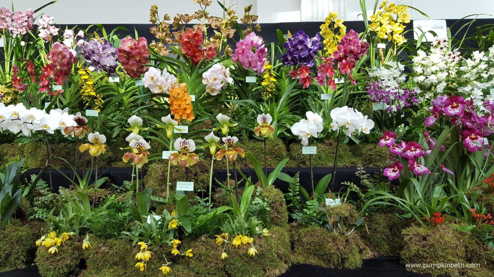 Garden & Flower Show Tours