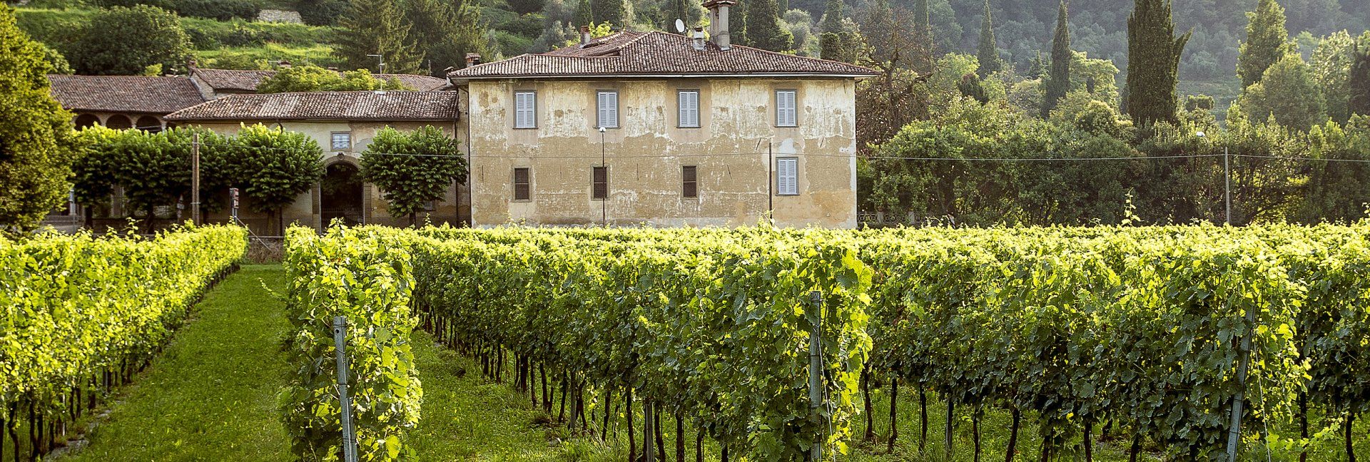 Wine tours