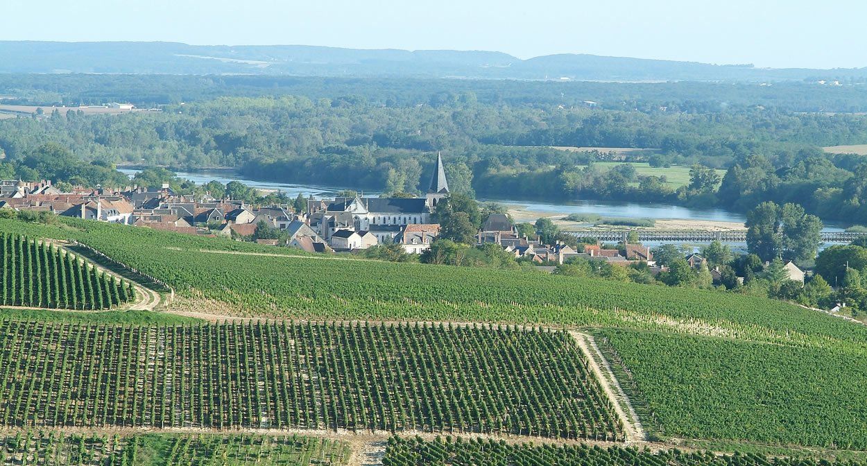 Wine tours