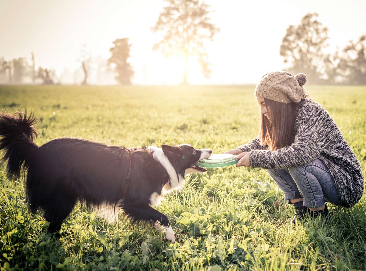 Woman and her dog in playful tug of war over frisby