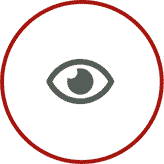 Gray eye icon inside a red circle on a white background