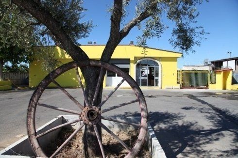 Mezzi per il trasporto di rifiuti