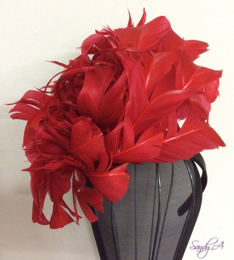 Red feathers