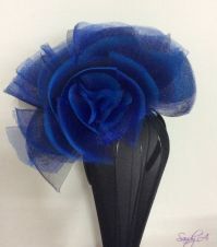 blue hat