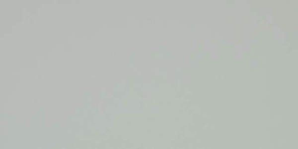 A solid, neutral light gray background.