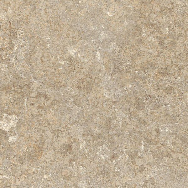 A close-up view of a textured stone surface with mottled beige and brown earth tones.