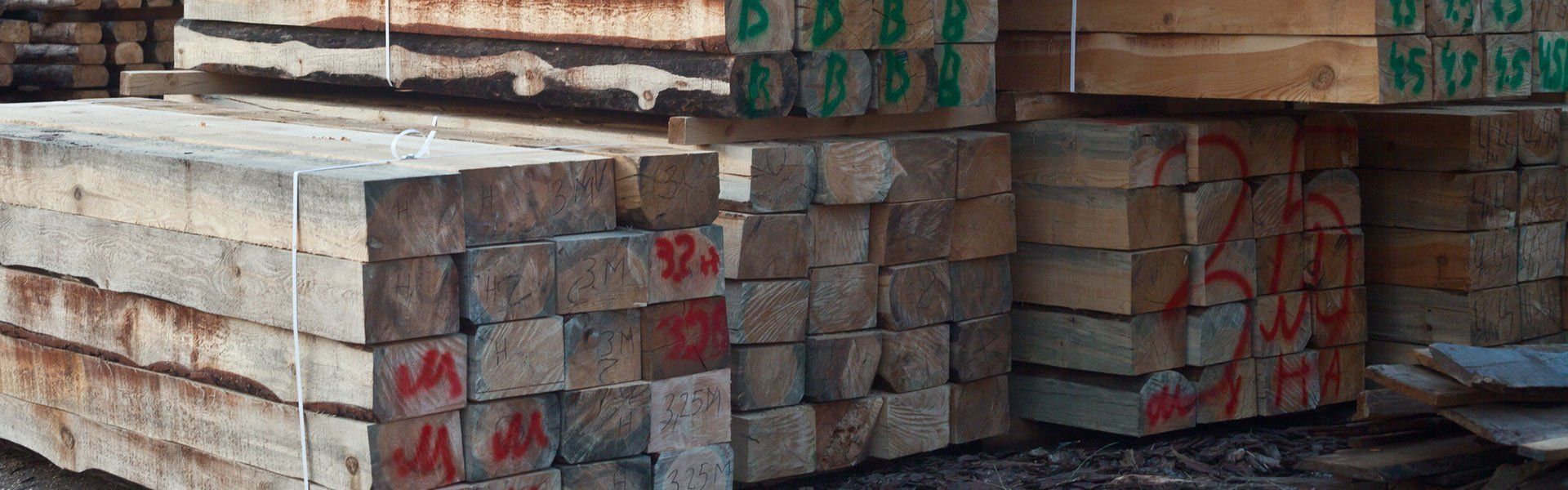 bunch of timber woods panther timber hardware bunch of timber woods