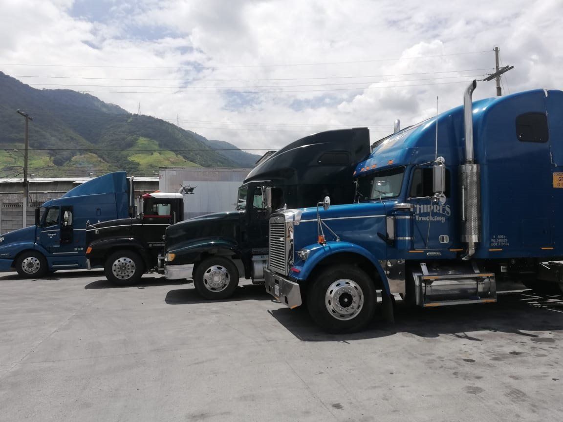 Transportes ELI camion azul y negro