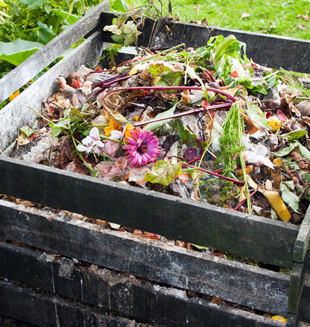 garden waste