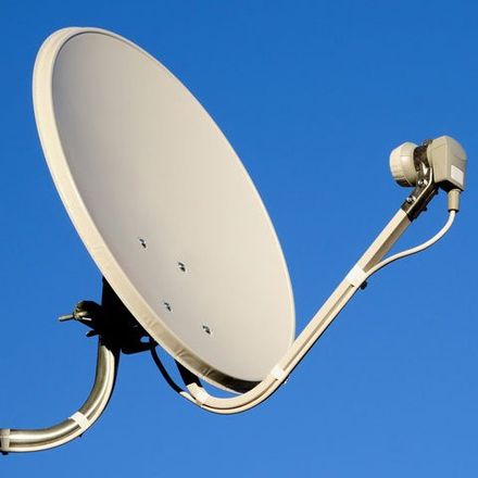 dish repair