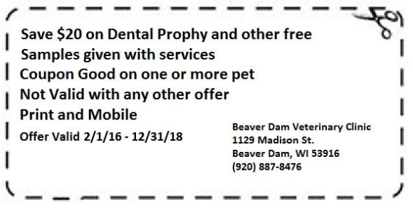 Coupon for Beaver Dam Veterinary Clinic: Save $20 on dental prophy and receive free samples. Valid 2/1/16-12/31/18.