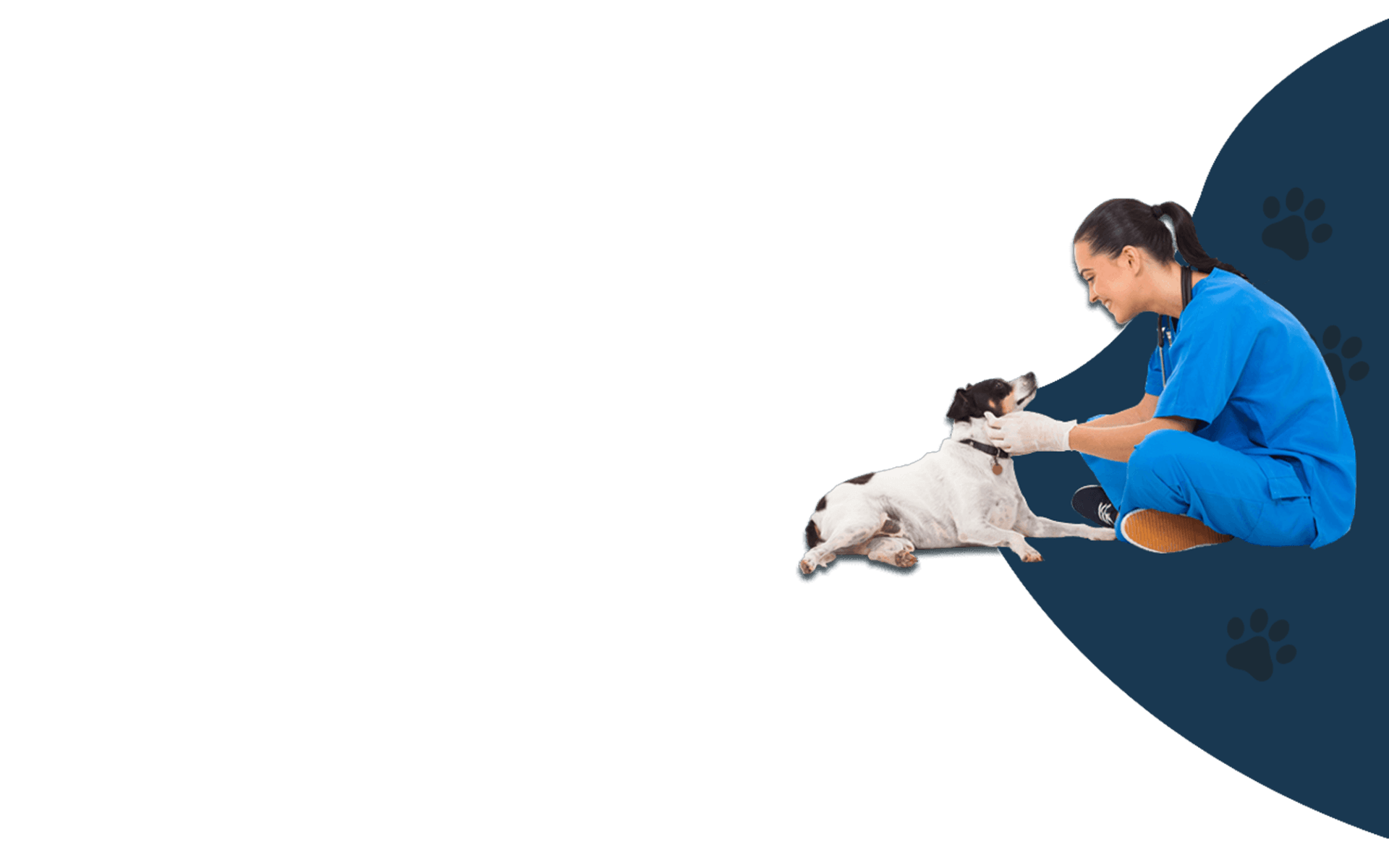 Veterinarian in blue scrubs examining a black and white dog, smiling. Dark blue background with paw prints.