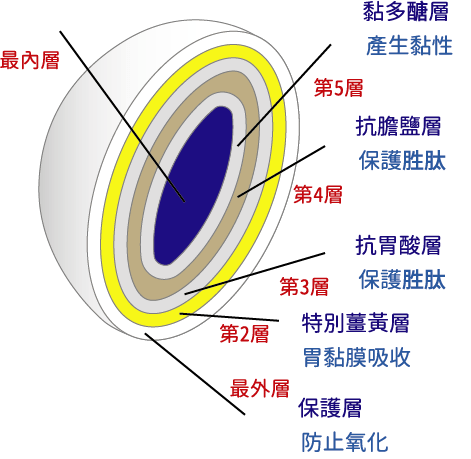 介紹專利胜肽
