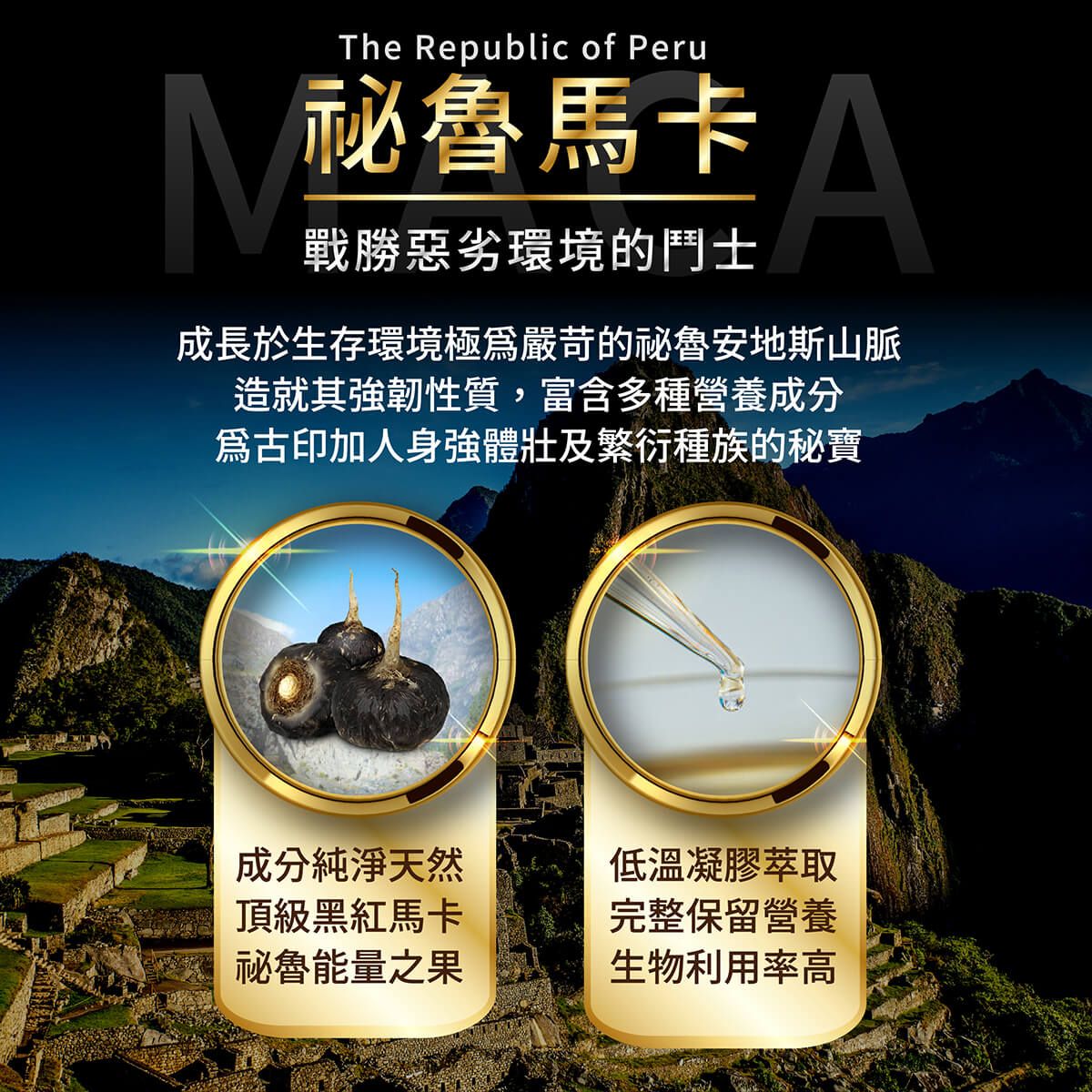 活力神龍商品說明