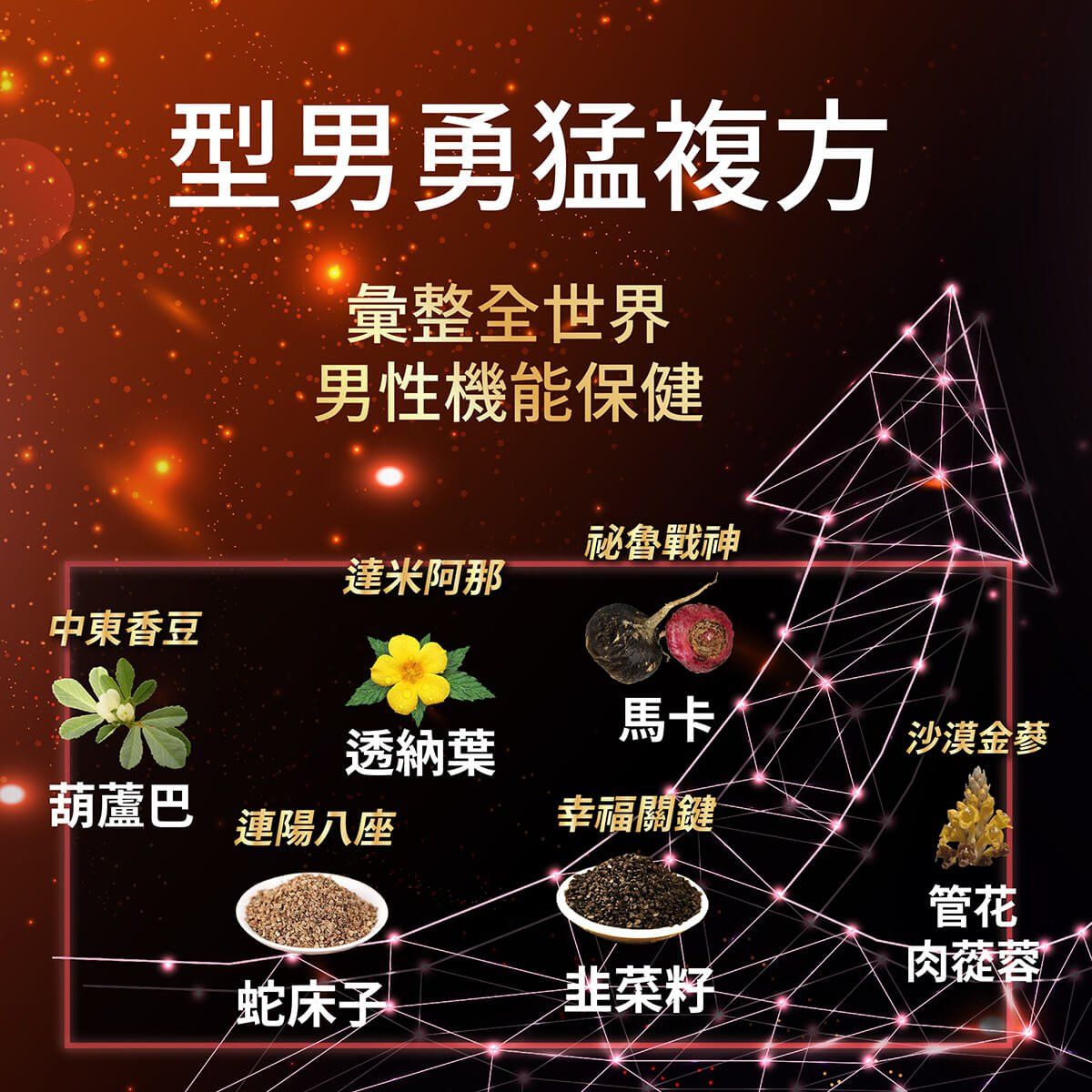 活力神龍商品說明