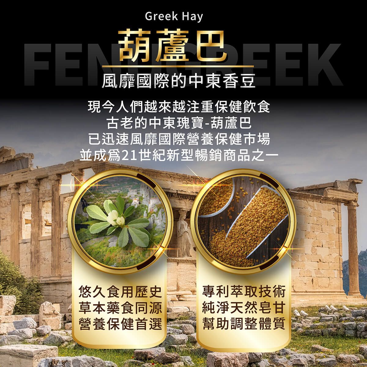 活力神龍商品說明