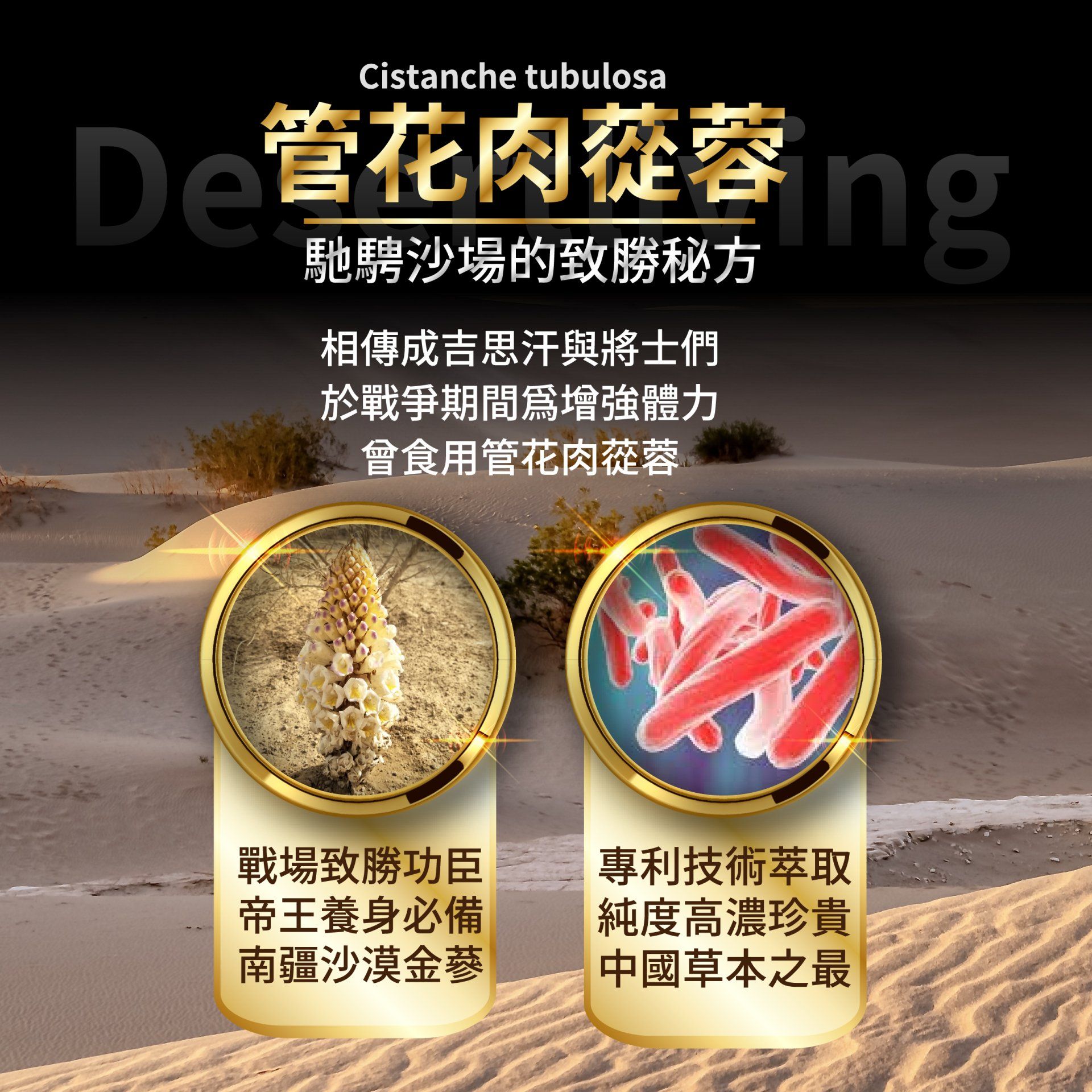 活力神龍商品說明