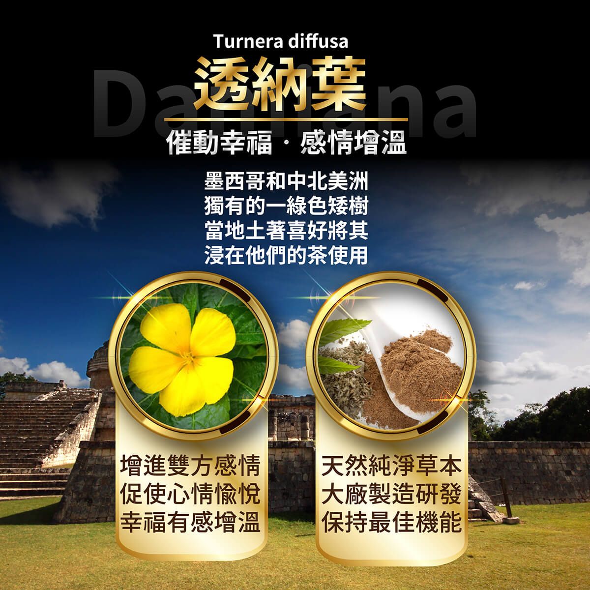 活力神龍商品說明