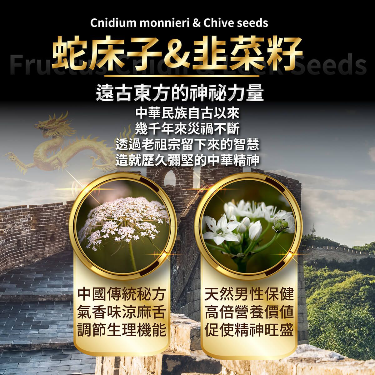 活力神龍商品說明