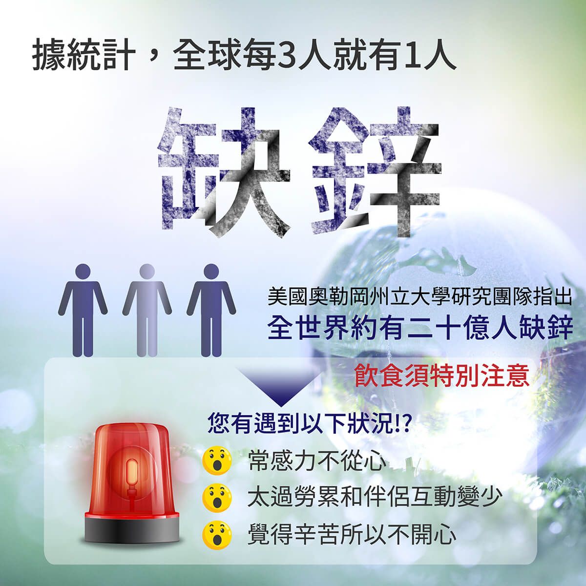 活力神龍商品說明