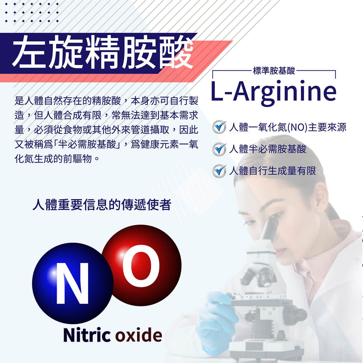 活力神龍商品說明