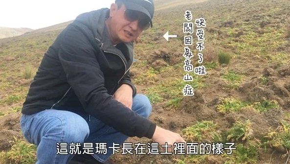 品牌沛路，商品來自於秘魯的證明