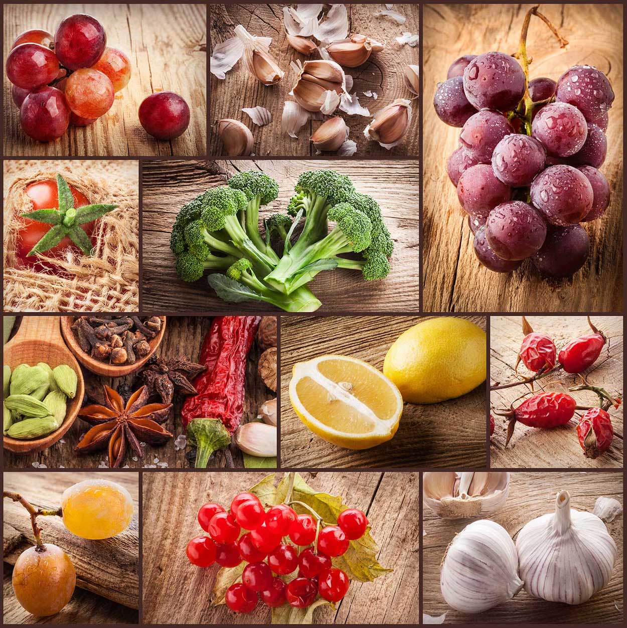 Wholesale and Distribution Finance with Grow Funding helping commercial cash flow