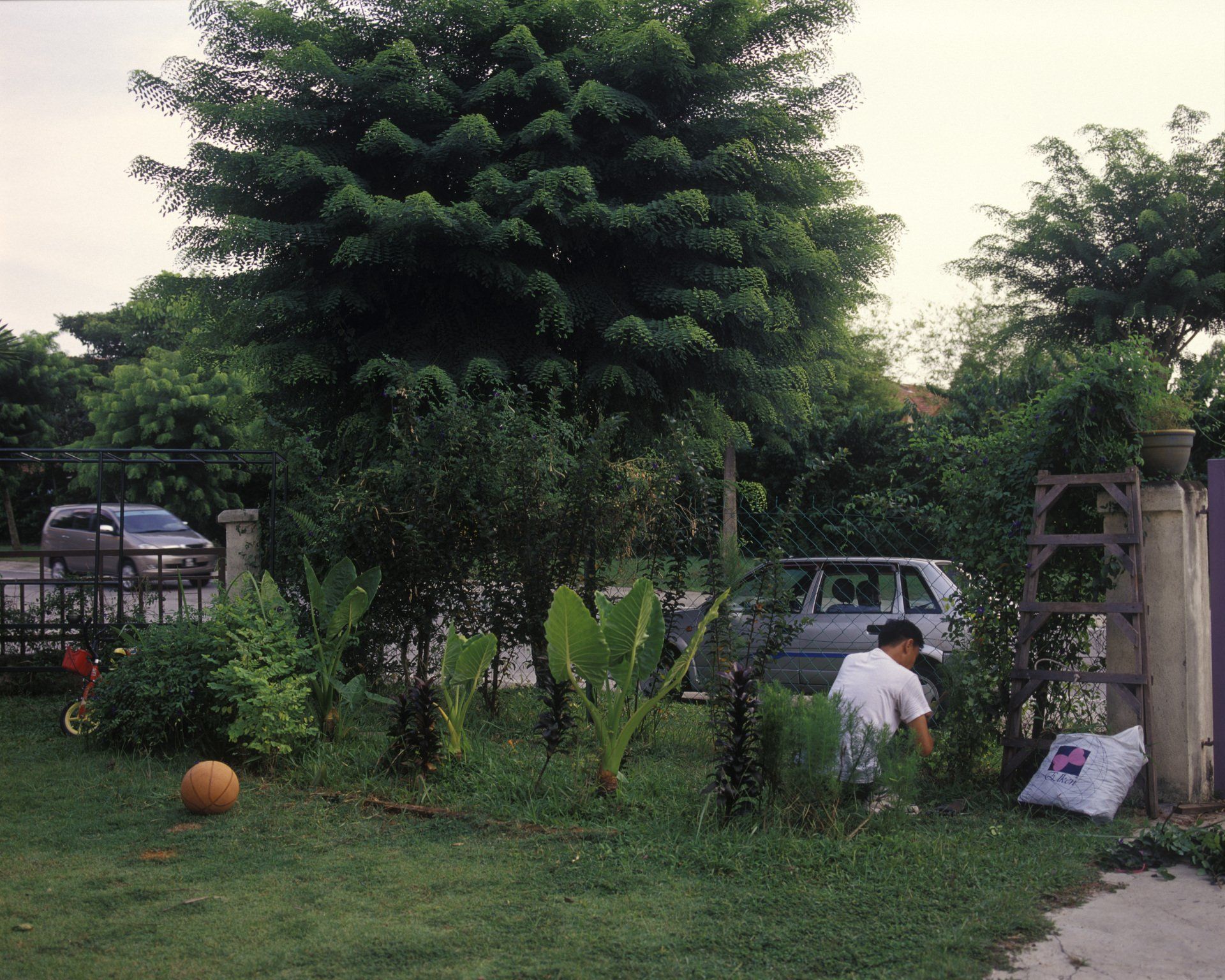 “Ruyi's Garden”, from the project “Convergence,” Kuala Lumpur, Malaysia, 2010. 80x100cm