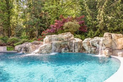 Landscaped Backyard with a Large Pool — Manville, NJ — Landscape Creations Landscaped Backyard with a Large Pool — Manville, NJ — Landscape Creations