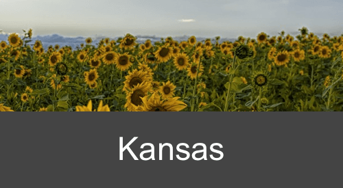 party bus rental service kansas