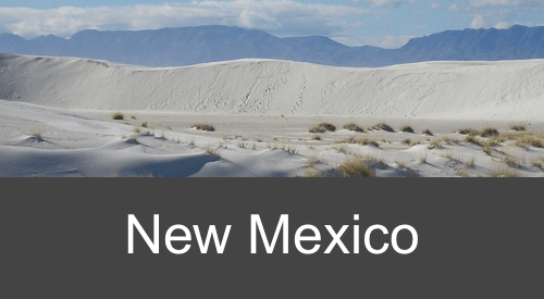 New Mexico