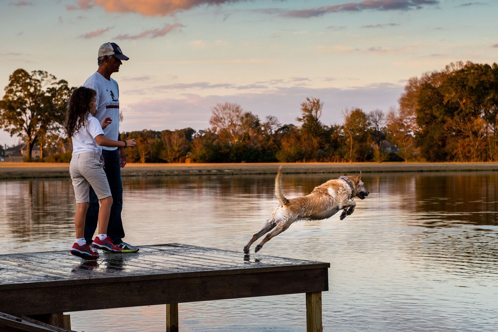 Marty and Jade's Dog Park at Americana | Zachary, LA
