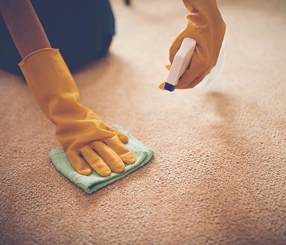 Cleaning Supplies — Carpet Disinfectant in Ukiah, CA Cleaning Supplies — Carpet Disinfectant in Ukiah, CA