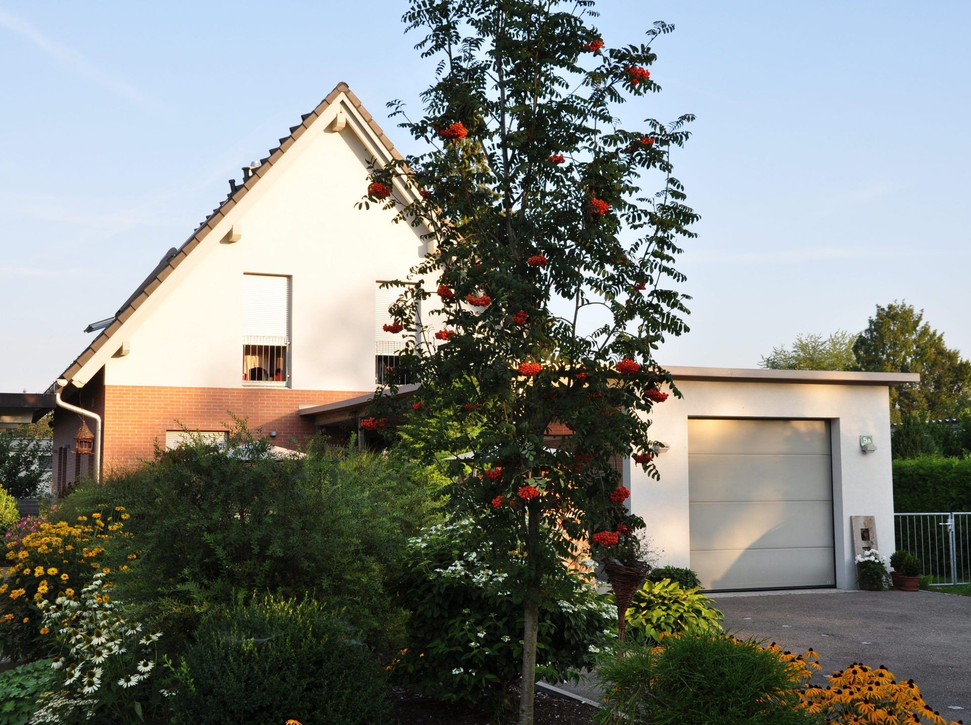 Haus