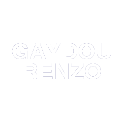 logo gaydou