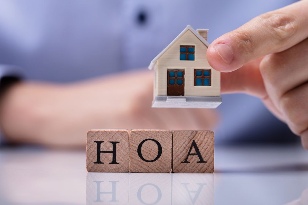 hoa photo