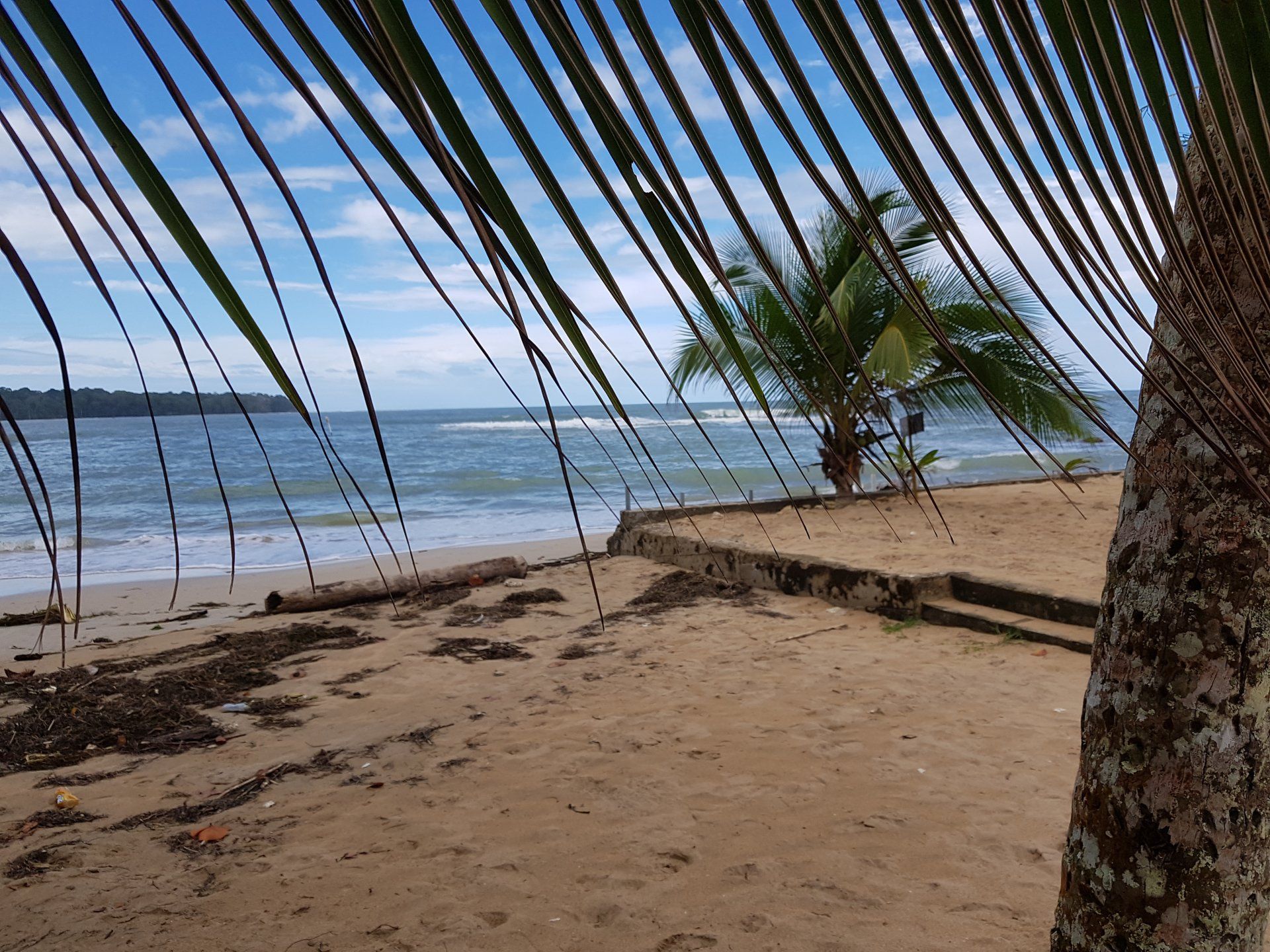 Bocas del Toro
