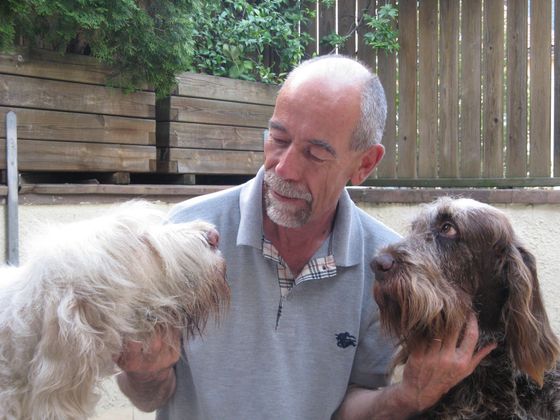 Besitzer, der zwei Hunde verwöhnt