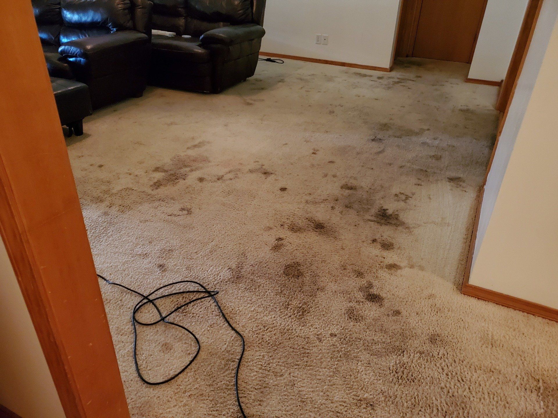 A living room with a dirty carpet and a couch.
