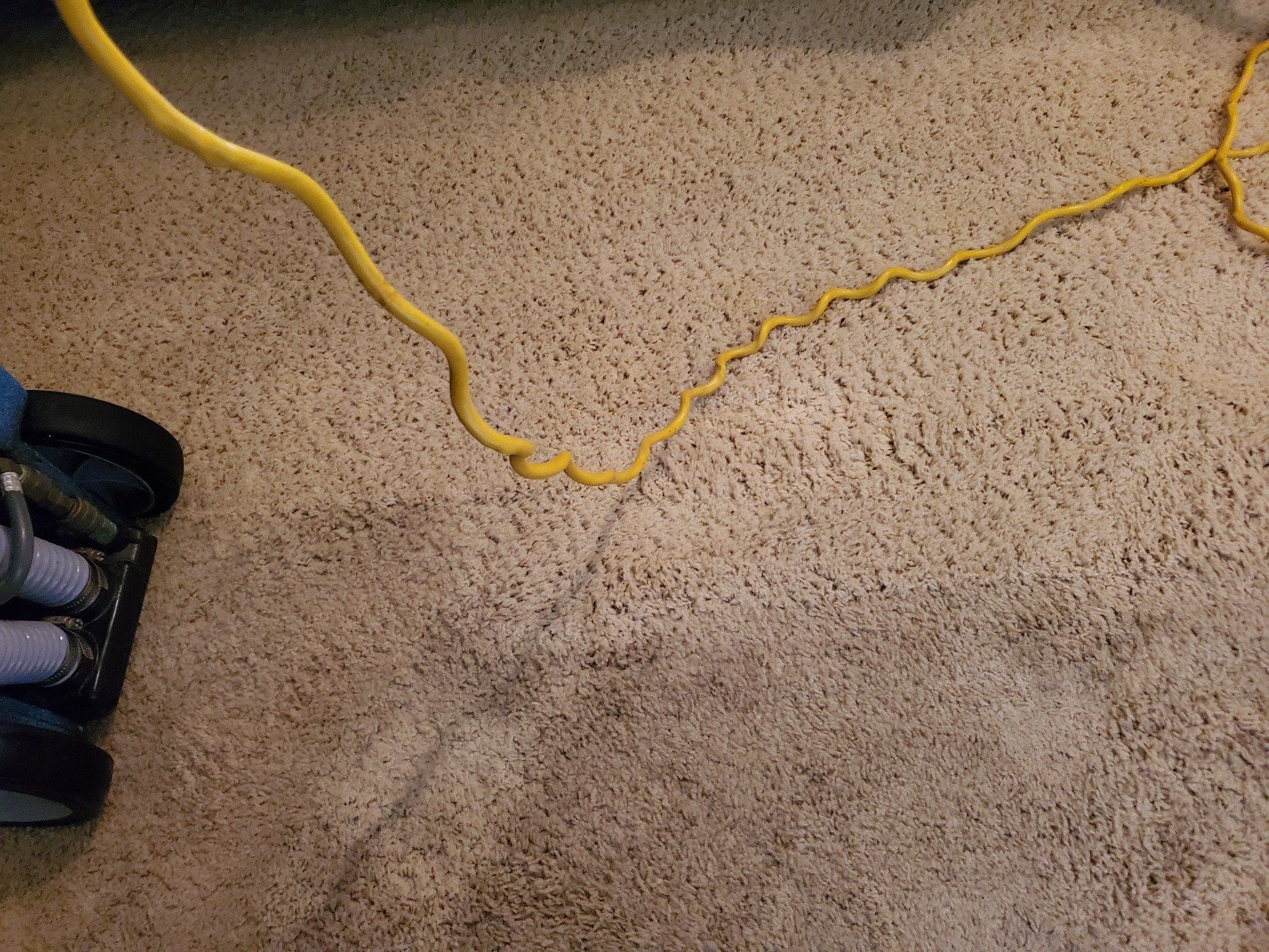 A person is using a vacuum cleaner to clean a carpet.
