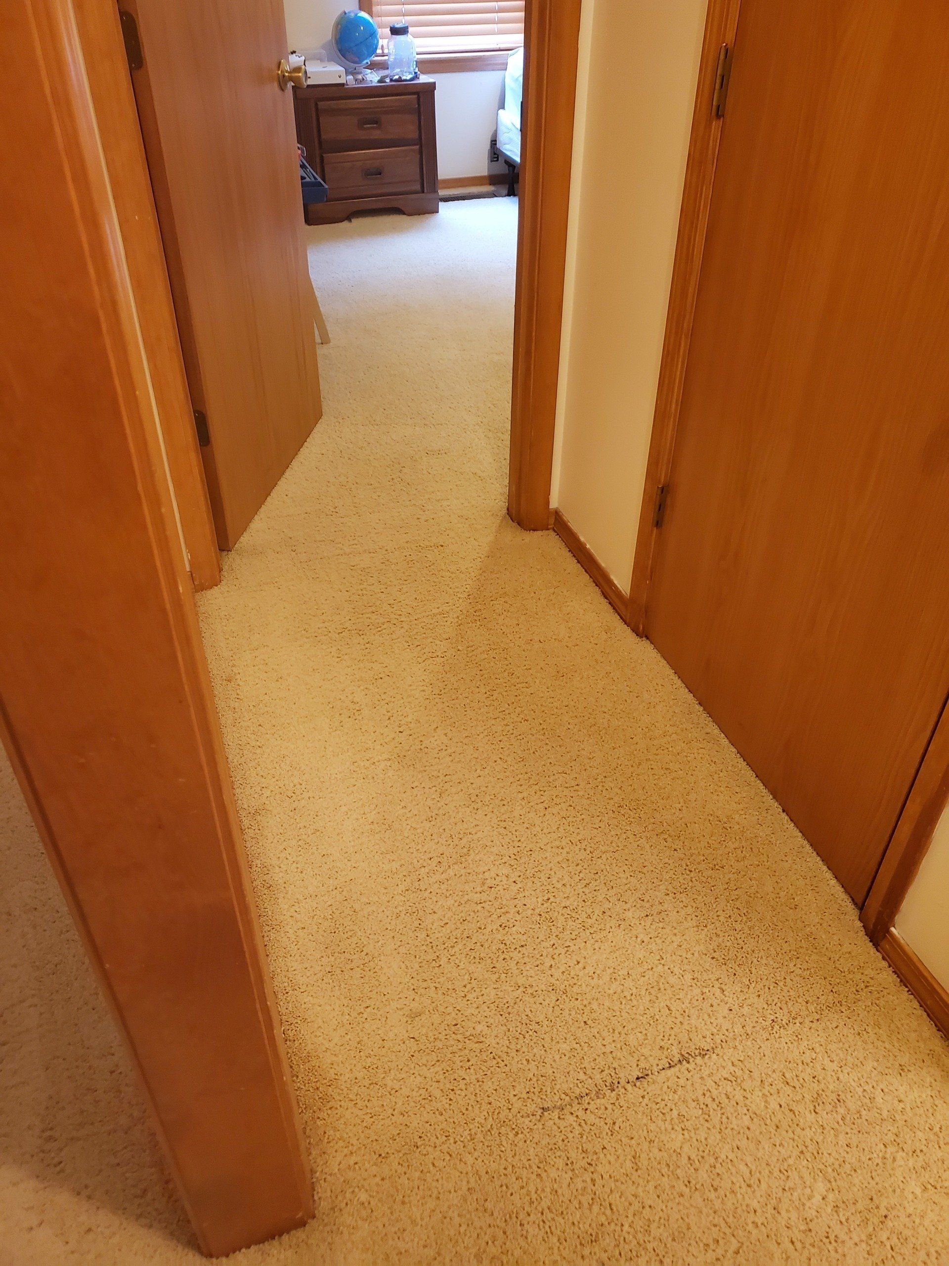 A hallway with a carpeted floor and wooden doors leading to a bedroom.