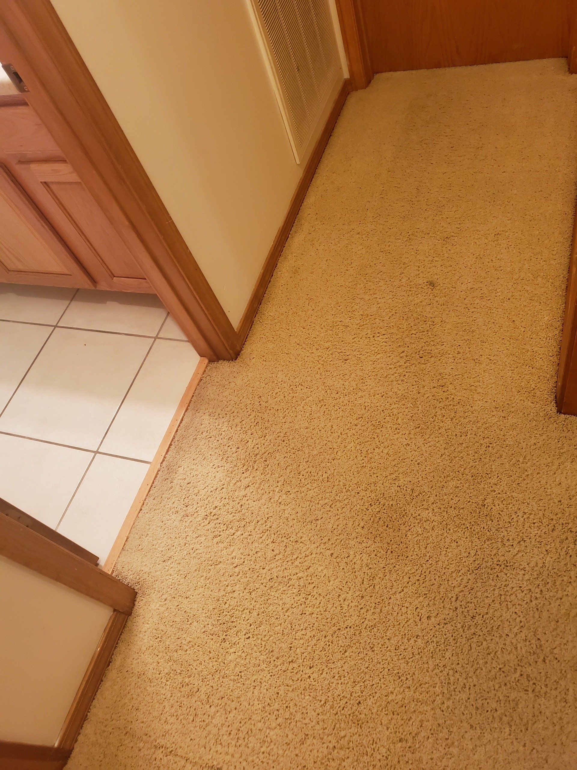 A hallway with a carpeted floor and a tiled floor.