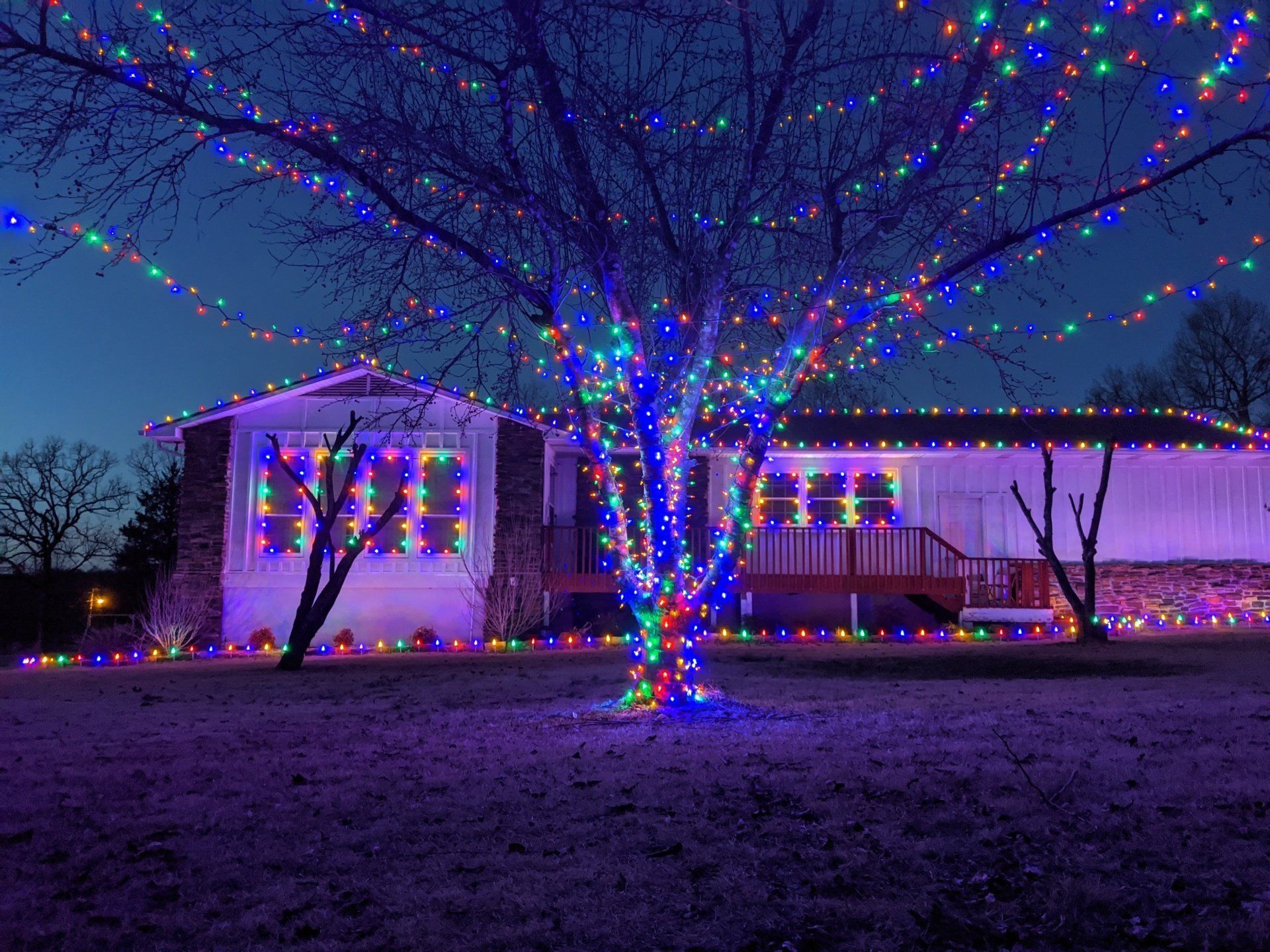 A tree is decorated with christmas lights in front of a house.