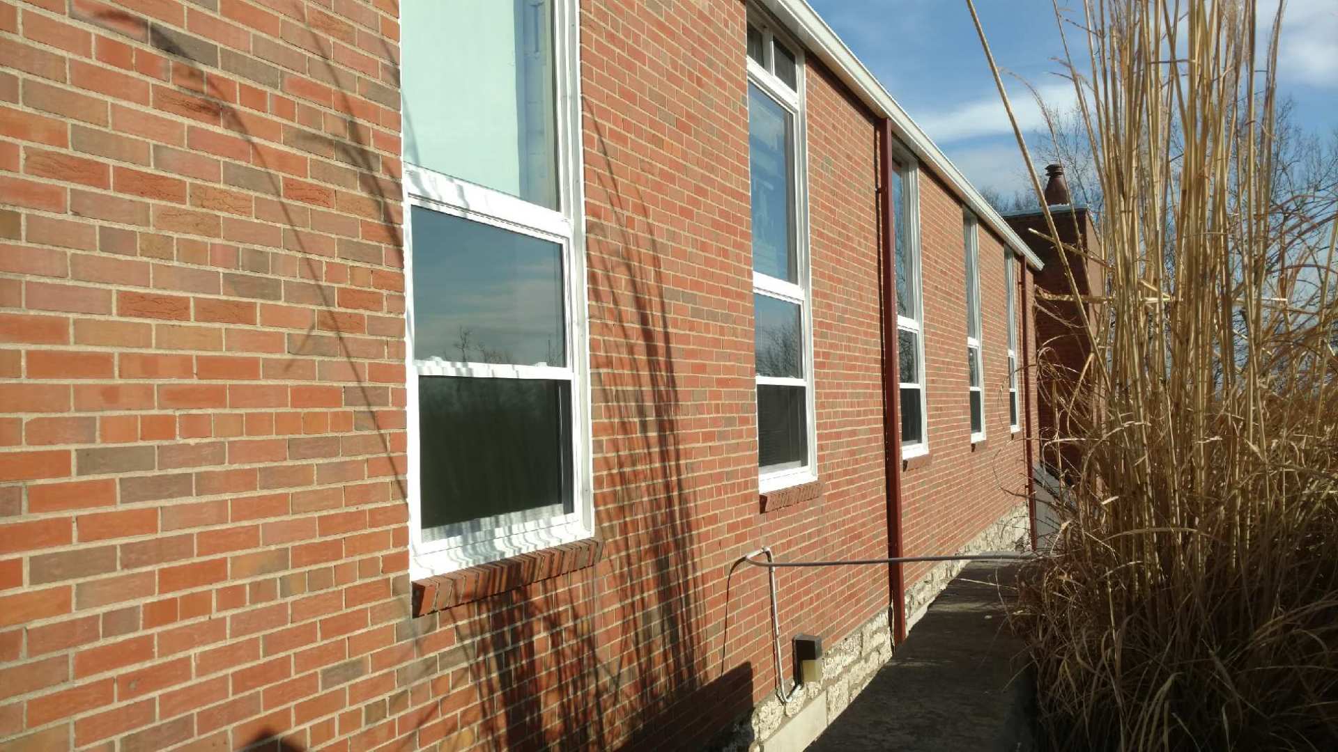 Red brick building exterior with white-framed windows beside dry shrubs in sunlight