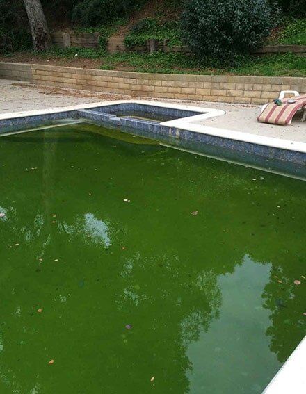 Dirty Pool before cleaning - Pool services in Whittier, CA Dirty Pool before cleaning - Pool services in Whittier, CA